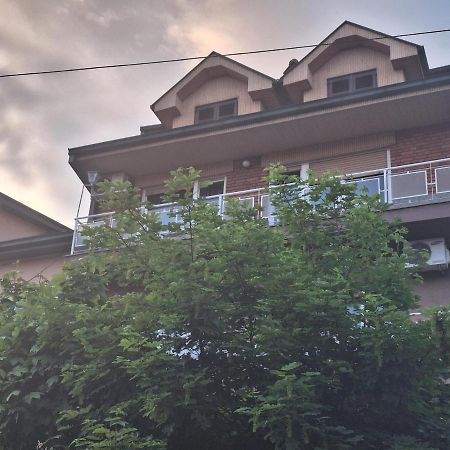 Ferienwohnung Danica I Vuk Ni Exterior foto