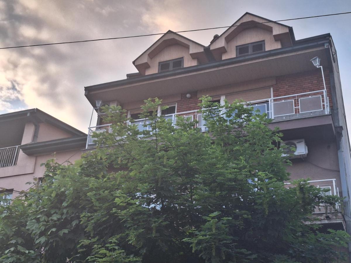 Ferienwohnung Danica I Vuk Ni Exterior foto